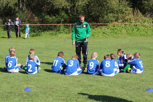 开云在线登入-德甲球队构建战术模拟平台辅助赛中调整，德甲模式