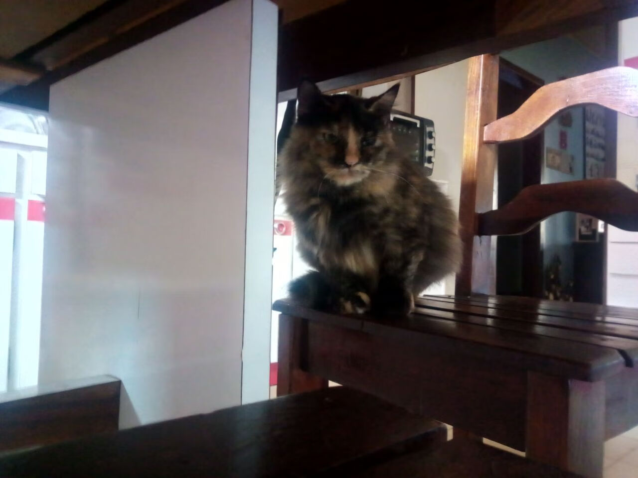 开云体育下载-校园足球裁判培训与管理机制标准建设，足球裁判培训内容