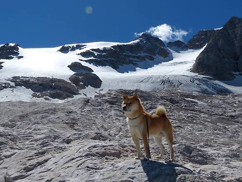 开云体育足球-“高新体育中心：健力赛选手刷新纪录，力量与技巧的完美结合”