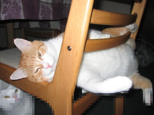 开云体育下载-中国男篮体能训练效果显著 提高比赛耐力,中国男篮体能不够