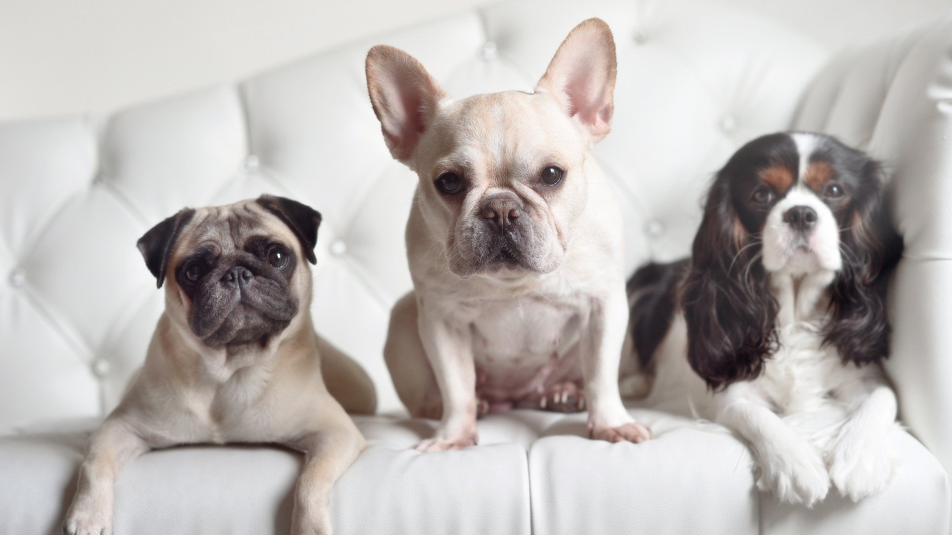 开云体育在线下载-中国篮球人才流失问题引发外界担忧,中国篮球人才流失问题引发外界担忧的原因