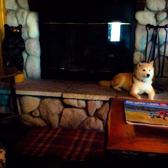 开云体育官网app-博卡青年战术过度依赖身体对抗,博卡青年是什么意思