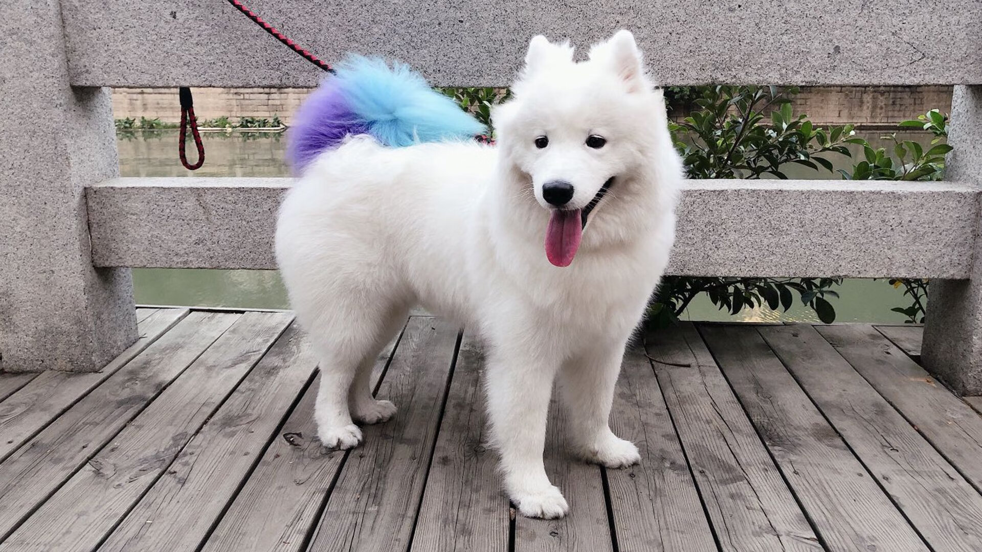 开云体育下载-国际热身赛国足战平 球员状态逐渐回暖，国足热身赛时间安排