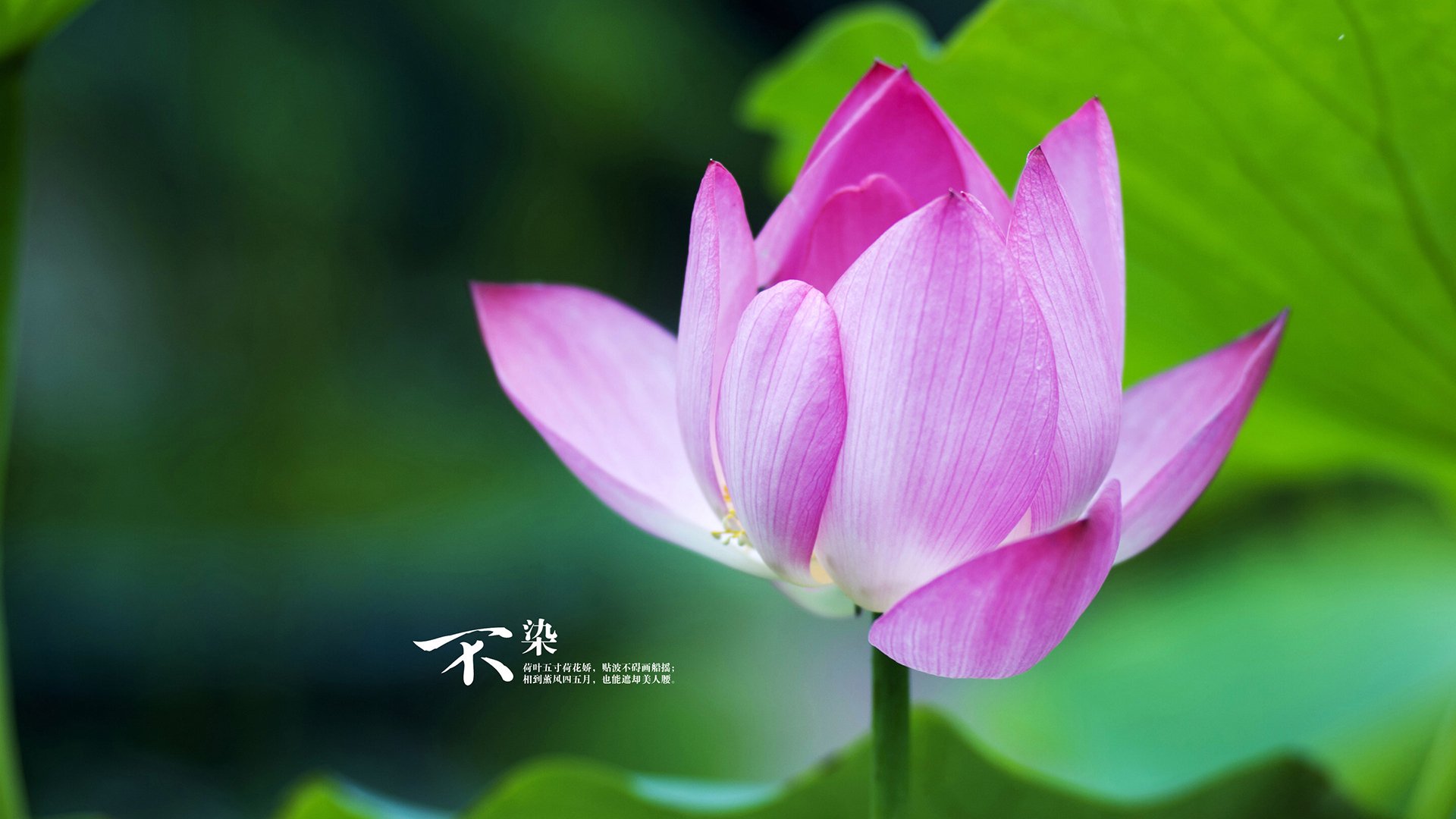 开运体育电脑版-球员如何通过节奏突袭制造意外得分机会,节奏冲击