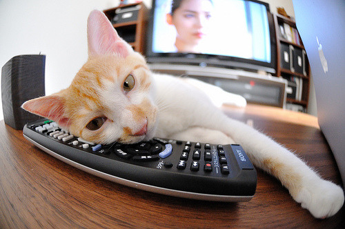 开云体育官网登入-中国足球青训课程注重场上决策能力提升，中国足球青训学校有哪些