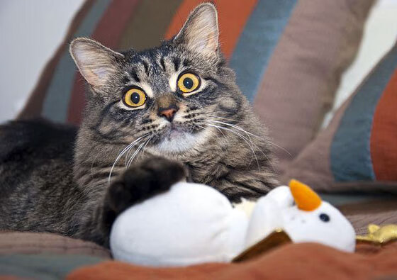 开云体育官网上-克洛普不断突破创新,带队冲击历史高峰