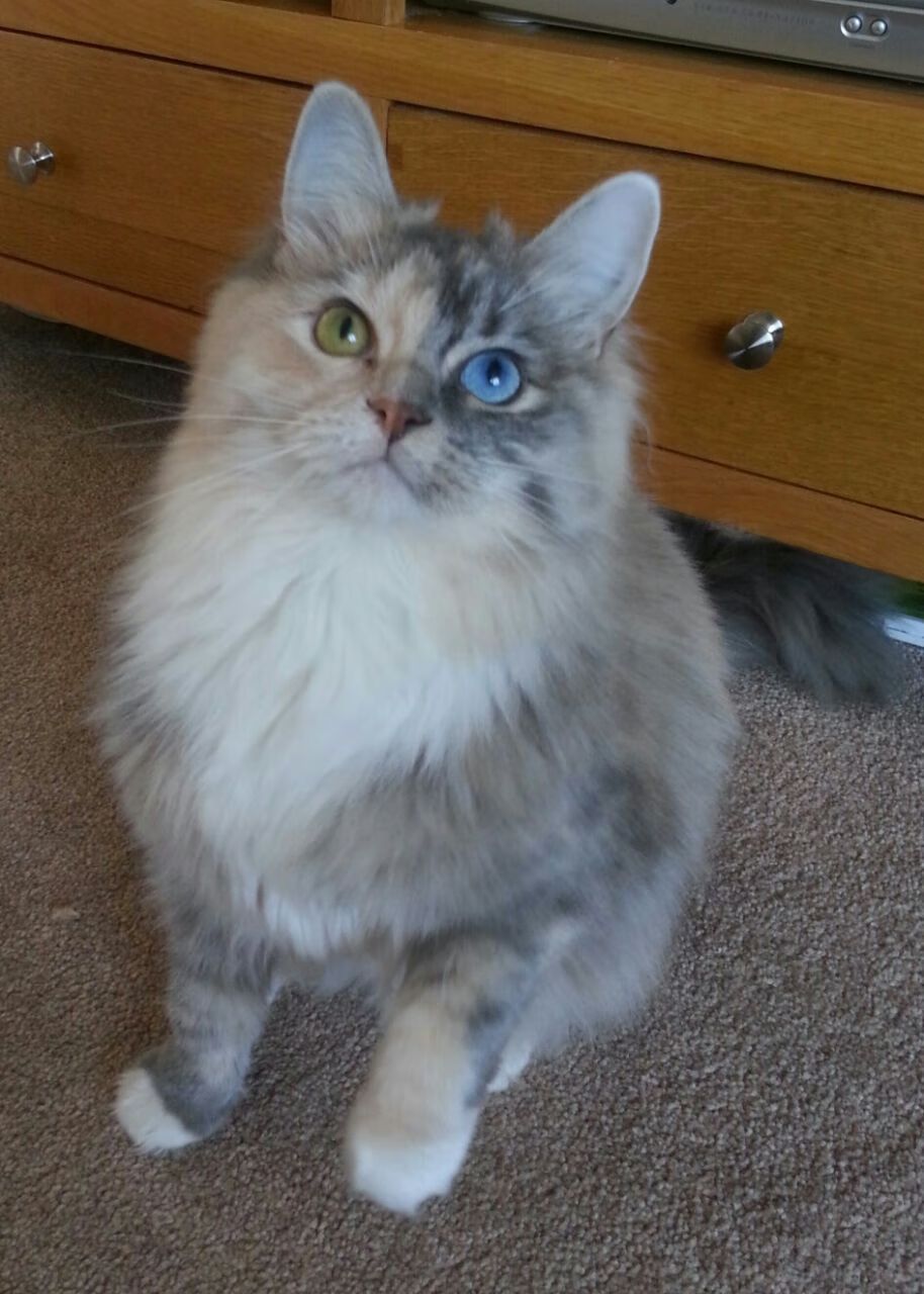 kaiyun网址-李娜发布个人新书分享成长故事,李娜成名作