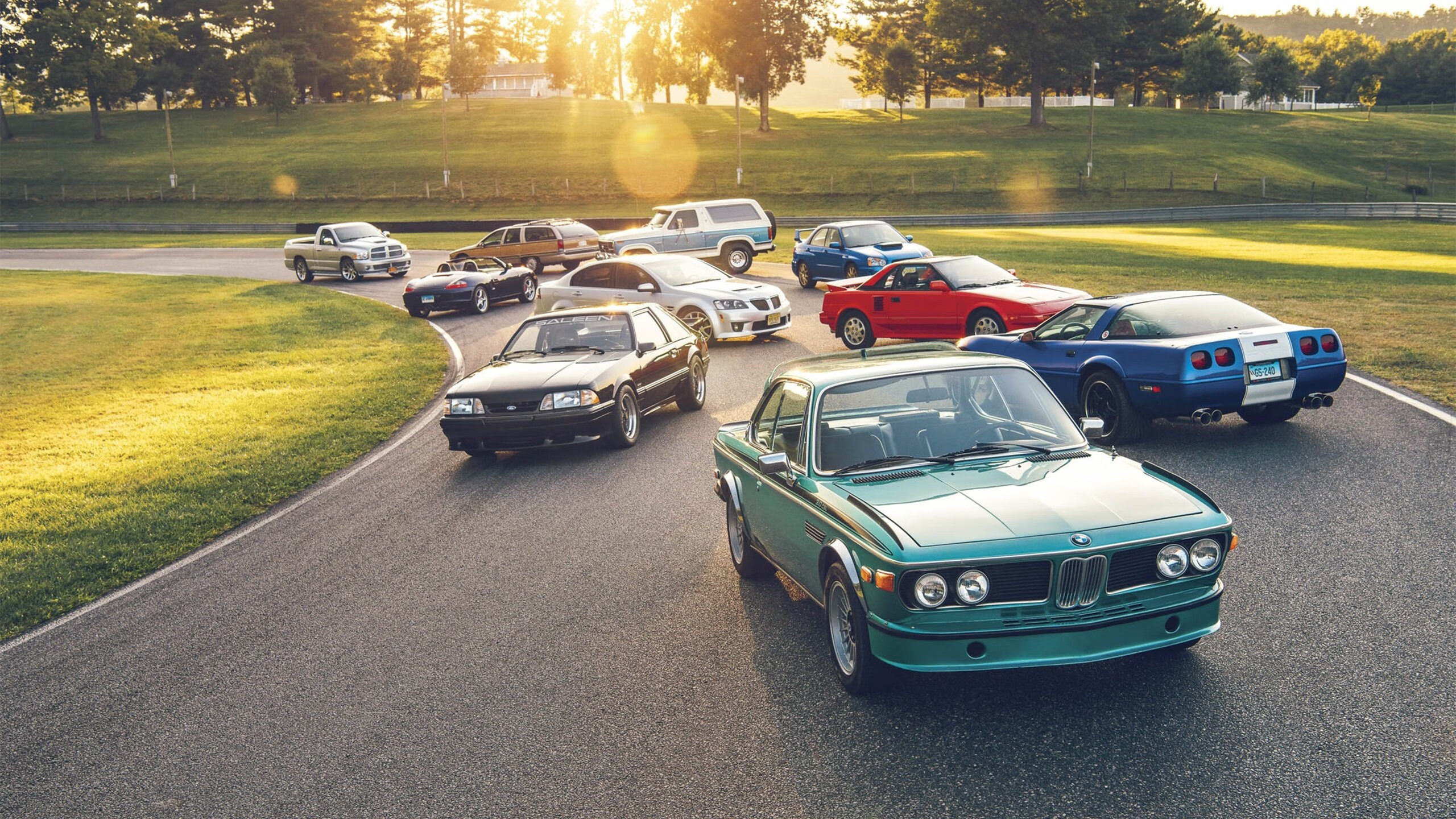 开云体育app入口-波兰仰泳选手技术细腻,波兰游泳队员刚到东京就要回国