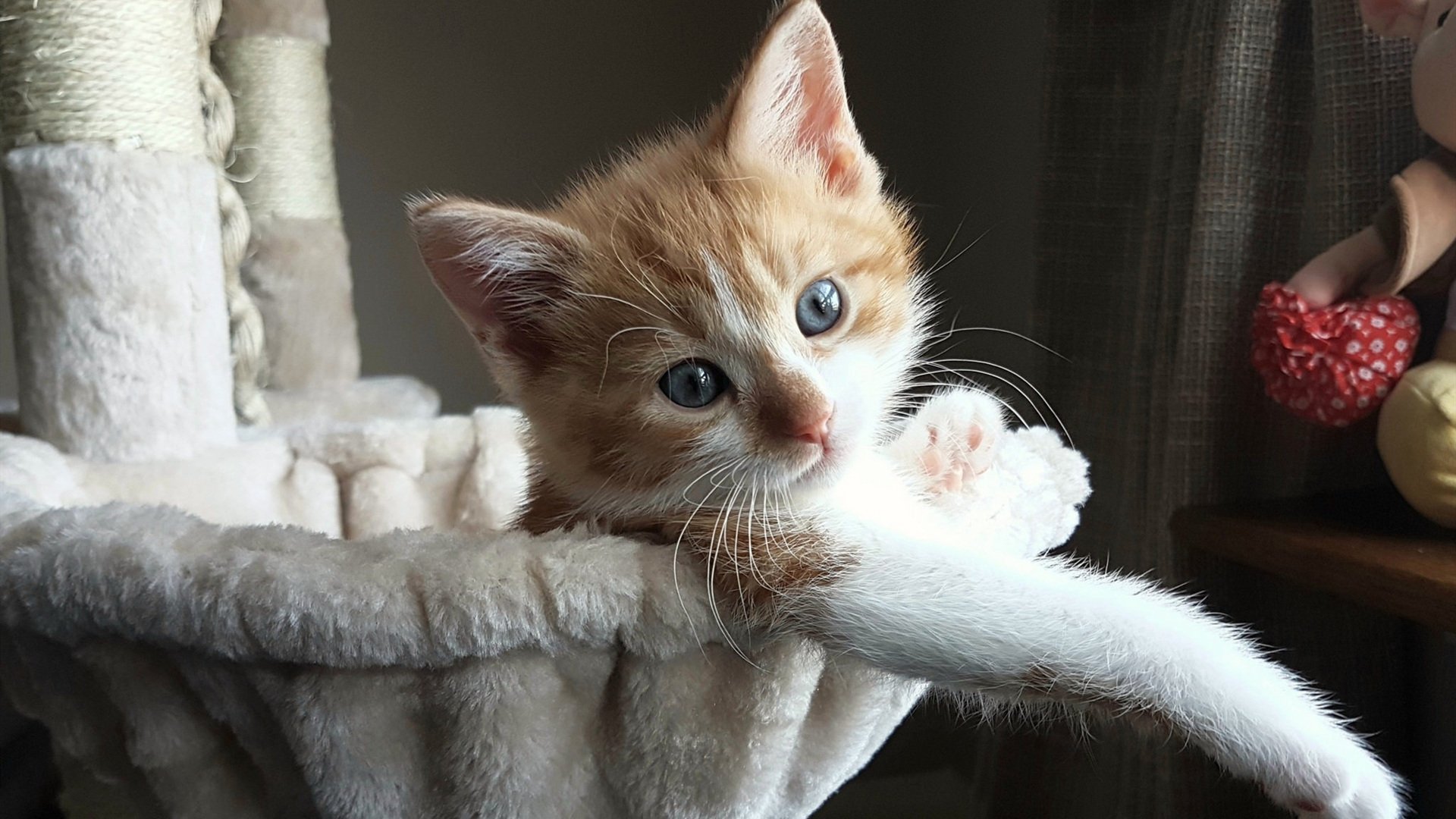 开运体育电脑版-电竞数据分析人才紧缺推动高校开设新课,电竞赛事游戏数据分析师