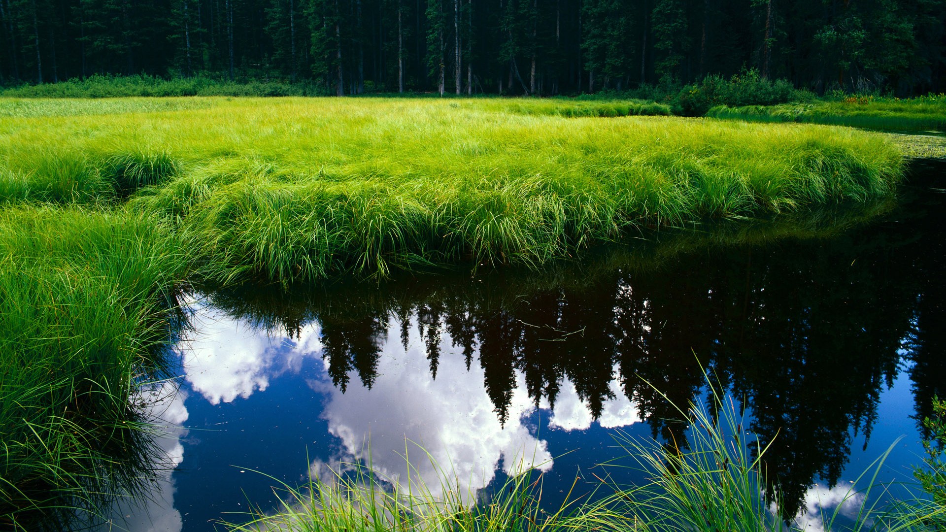 开云体育娱乐-美洲杯明星集结:全场焦点纷纷亮相!,美洲杯人员名单