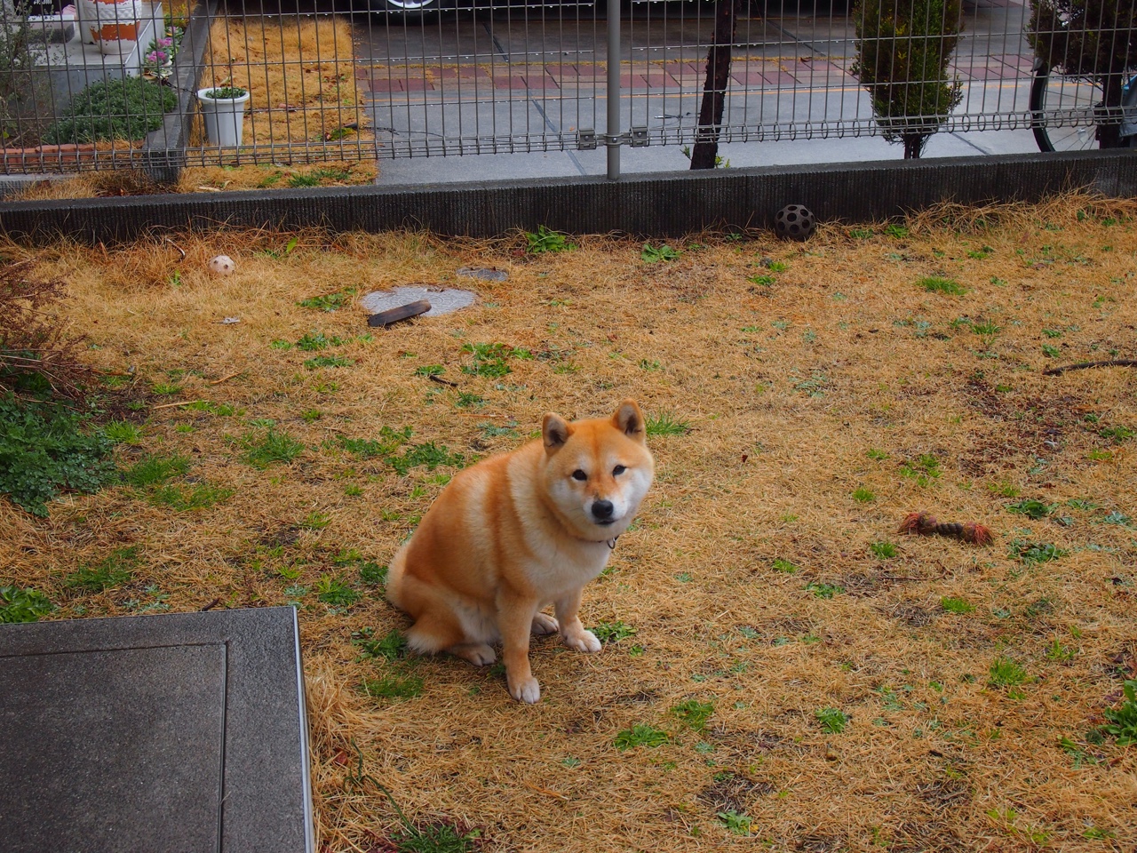 开云体育在线-自由泳划频节奏平稳,比赛控制力佳,自由泳划水路线有3种